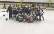 Butler Middle School wins hockey title/PIAA basketbsall