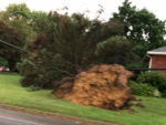 NWS: A Microburst Hit Northern Butler Co., Not A Tornado