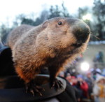 Celebrate Groundhog Day At Moraine