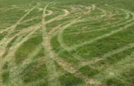 Prospect Youth Soccer Fields Damaged