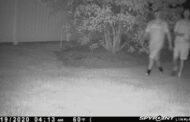 Police Looking For Suspects In Middlesex Twp. Attempted Break-Ins