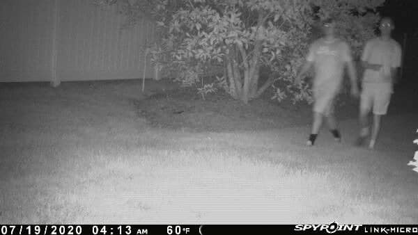 Police Looking For Suspects In Middlesex Twp. Attempted Break-Ins