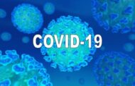 Weekend CV Update: 14 New COVID-19 Cases