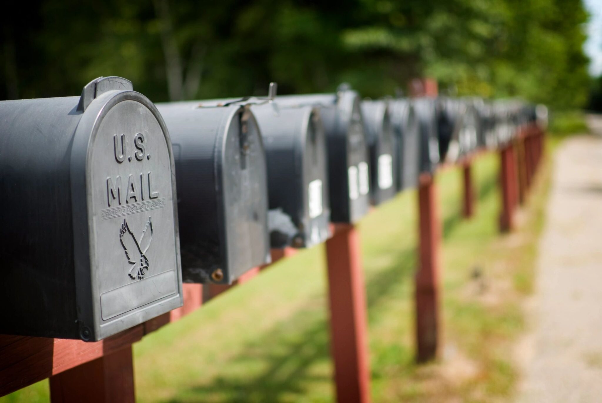 Unsolicited Seeds Being Sent To Homes By Mail