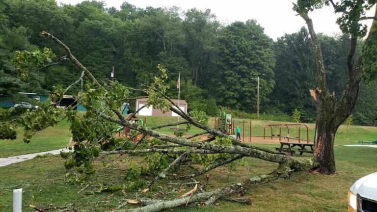 Storms Leave Residents Without Power And Trees Down