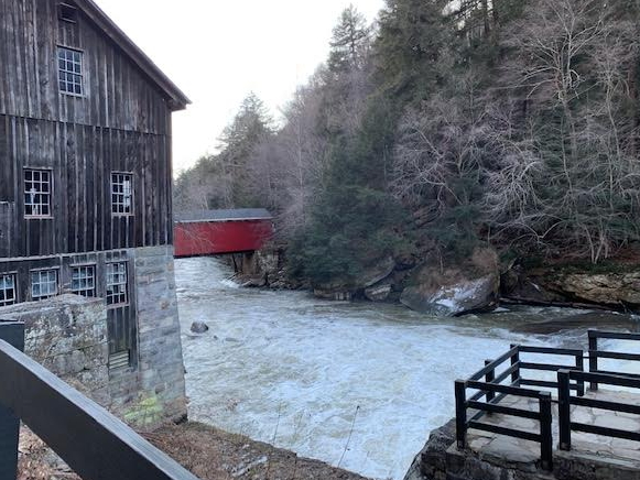 Salamander Safari Scheduled For McConnells Mill