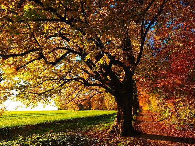 Fall Foliage Season Right Around The Corner