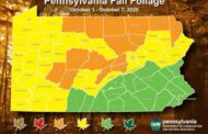 Butler ‘Approaching Best Color’ For Fall Foliage