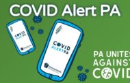 COVID Alert PA App Over 320,000 Downloads