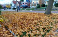 Leaf Disposal Options Available In Butler