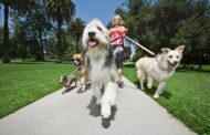 Mutt Strutt Planned By Humane Society