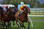 Rombauer Wins Preakness Stakes