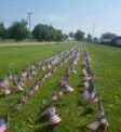 Mars Students Making “Wall of Honor” For Veterans Day