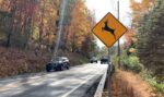 New Proposal Could Help Clear More Deer Off Road