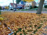 City Leaf Pickup Continues For Spring