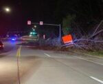 PennDOT Crews Clean Up Landslide On Rt. 356 In Freeport