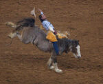 North Washington Rodeo Begins