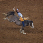 North Washington Rodeo Begins