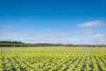 Penn State Ag Days Set To Start