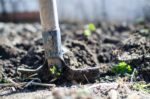 Library’s Gardening Activity Series Continues