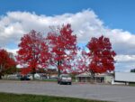 DCNR Says Area Approaching Peak Foliage