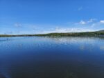 Park Officials Monitor Algae At Lake Arthur