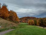 Foresters Expect One Last Good Weekend Of Foliage