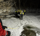 Donkey Rescued After Falling In Pond