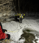 Donkey Rescued After Falling In Pond