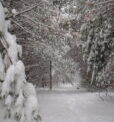 Winter Hike This Week At Moraine State Park