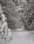 Winter Hike This Week At Moraine State Park